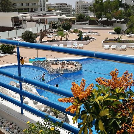 Amplio Apartamento 1 Dormitorio - Playa Paraiso 外观 照片